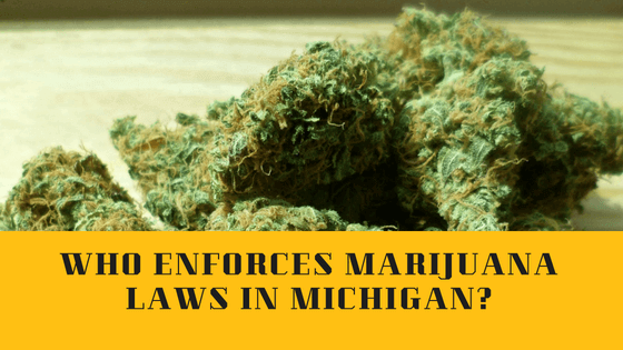 marihuana would be legal in Michigan