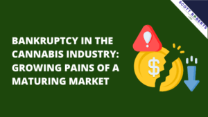 Bankruptcy in the Cannabis Industry